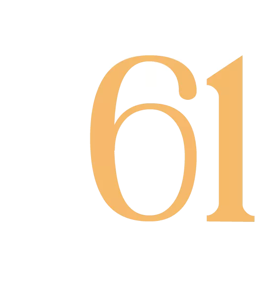 Grupo 61